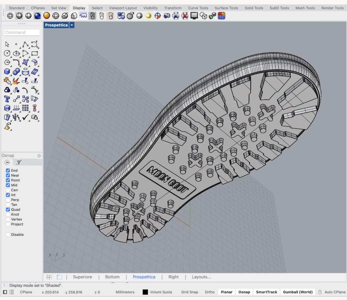 Rhinoceros Wireframe